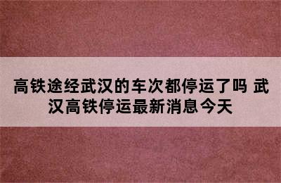 高铁途经武汉的车次都停运了吗 武汉高铁停运最新消息今天